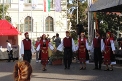 DSC01533