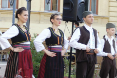 DSC01662